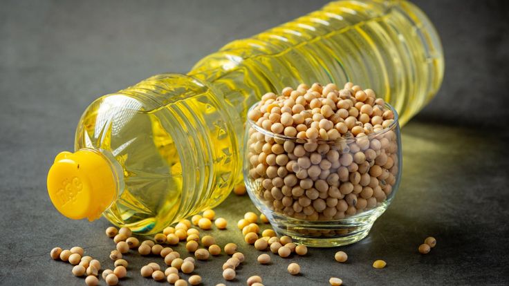 Wholesale Iranian Soybean Oil CIF Supply for Government Procurement Projects; Framework Agreements & On Time Delivery